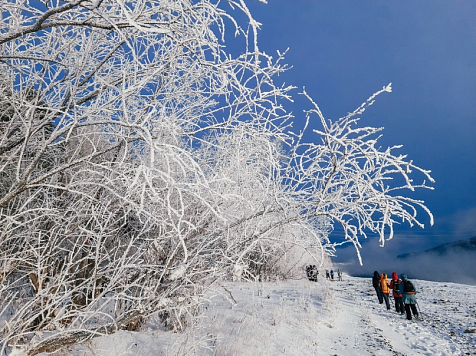 Красноярцам предлагают отправиться в походы по окрестностям города. Фото: администрация Красноярска