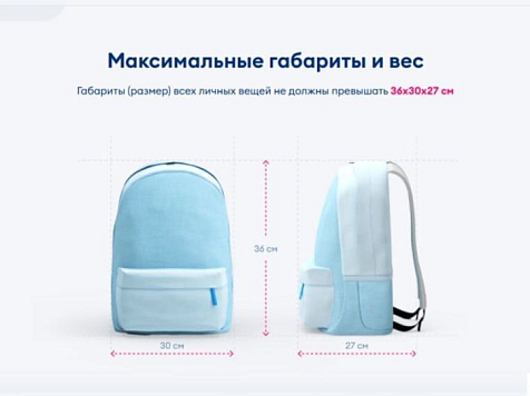 Победа над «Победой»: суд обязал авиакомпанию увеличить размер ручной клади. Фото: скрин с сайта авиакомпании «Победа»