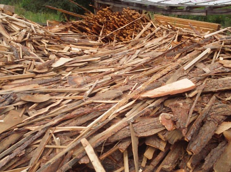 В Красноярском крае лесозаготовителя оштрафовали за свалку. Фото: krsk.au.ru