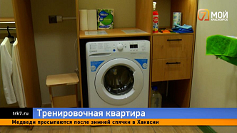 «Я сам!»: как в Красноярске работают тренировочные квартиры для особенных детей