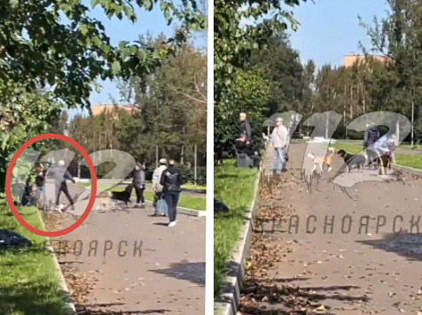 Агрессивные собачники устроили драку в Гвардейском парке. Фото/видео: «112 Красноярск» (t. me)