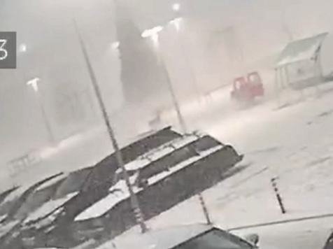 Ночная буря в Красноярске повалила елку во дворе Преображенского . Фото: preo_24