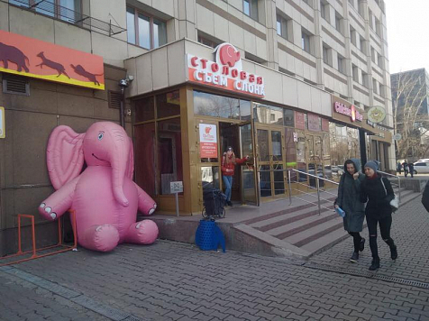 Красноярский депутат объявил войну большому розовому слону. Фото: Роман Крастелев / Facebook