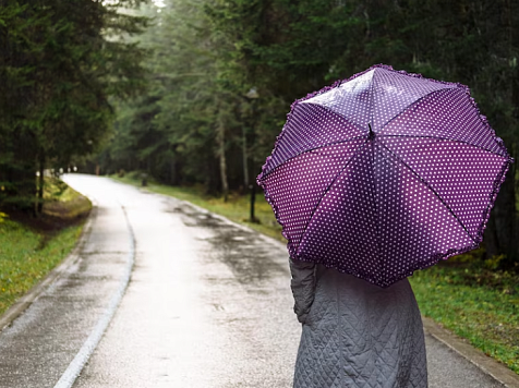 В Красноярске 4 июля синоптики обещают днём +20 градусов. Фото: freepik.com