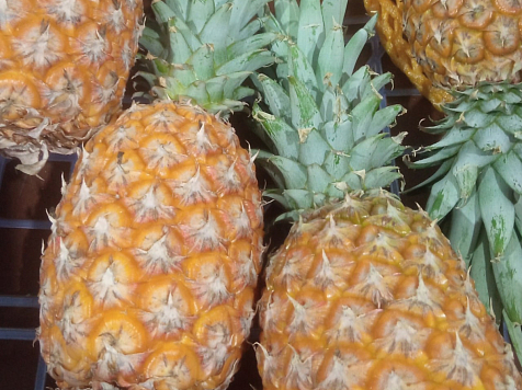 Красноярский Россельхознадзор задержал более пяти тонн ананасов с паразитами. Фото: Управление Россельхознгадзора по Красноярскому краю