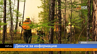 Красноярцам готовы платить до 10 тысяч рублей за информацию о поджигателях