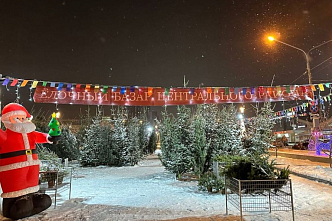 В Центральном районе определили места ёлочных базаров