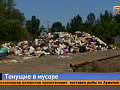 По отчетам — сбоев нет, по факту — крысы: красноярцы стали заложниками мусорных пейзажей 