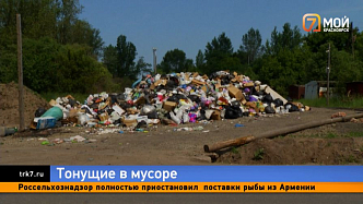 По отчетам — сбоев нет, по факту — крысы: красноярцы стали заложниками мусорных пейзажей 