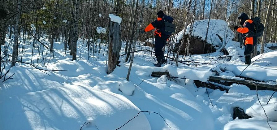 Пропавшую семью Усольцевых вновь будут искать в лесах Красноярского края 