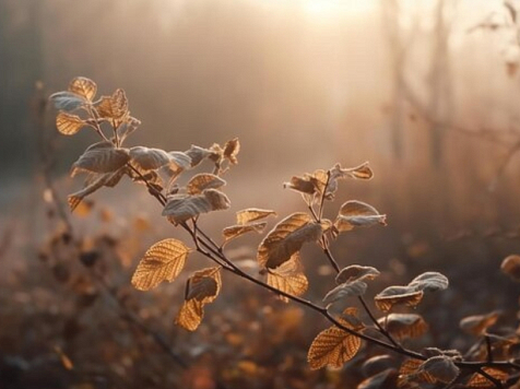 Ветреная и прохладная погода ожидается в Красноярске 21 октября . Фото: ru.freepik.com