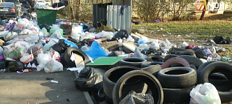 В Красноярске началась массовая травля крыс и грызунов