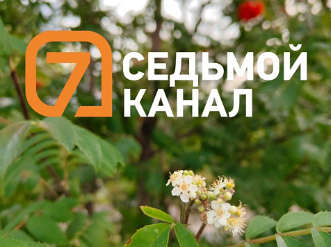 В Красноярске зацвели рябина, ромашки, ноготки, пузыреплодник калинолистный и ещё что-то невероятно красивое