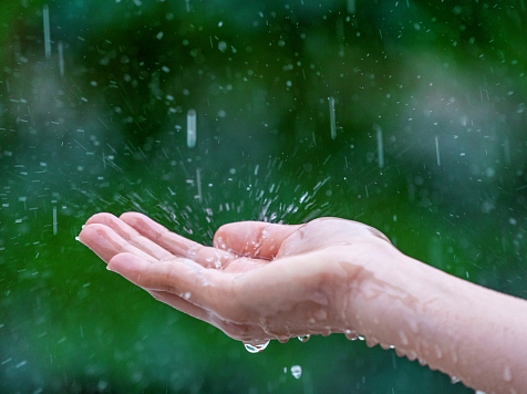 В Красноярске 25 июля ожидается прохладная и дождливая погода. Фото: ru.freepik.com