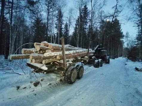 В Красноярском крае на контрабандиста леса завели 8 уголовных дел. Фото: t.me/mvd_24