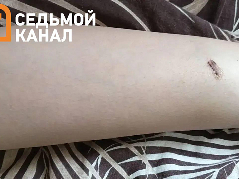 Жителя Красноярского края задержали за избиение 13-летнего школьника. Видео: МВД Красноярского края