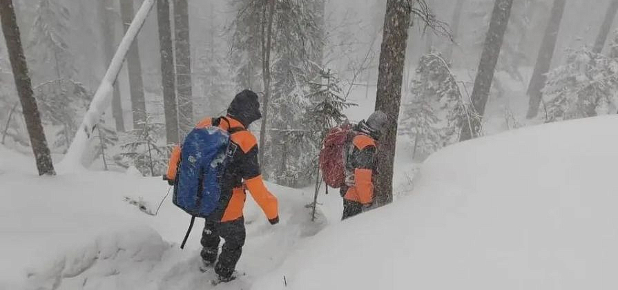 Глава СК затребовал доклады о безвести пропавших жителях Красноярского края
