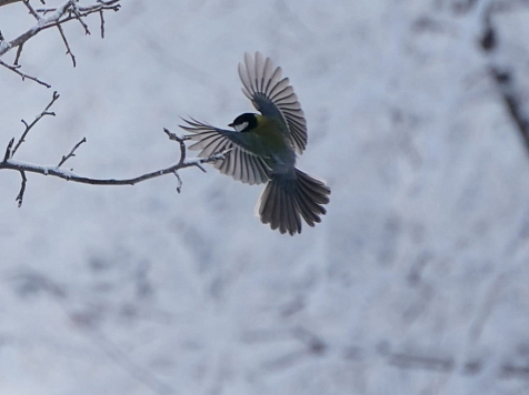 В предстоящие выходные в Красноярске будет тепло. Фото: https://vk.com/krasnoyarskrf
