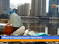 Абаканская протока в Красноярске вновь завалена мусором