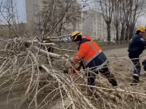 Последствия ураганного ветра в Красноярске начали ликвидировать . Фото: администрация Красноярска