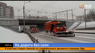 Мэр Красноярска предложил отказаться от подсыпки городских дорог солью