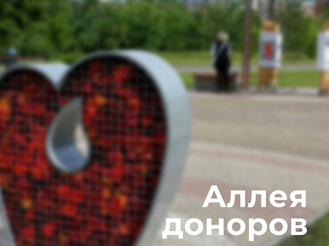 В парке 400-летия Красноярска заложили капсулы памяти будущему поколению. Фото: vk.com/krasnoyarskrf