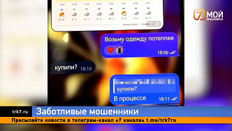 «Оденься потеплее и вскрой сейф»: мошенники отправили москвича «на дело» в Красноярск  