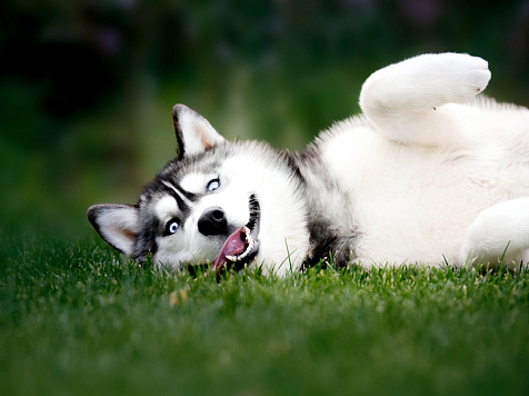 В выходные в Красноярске ожидается до 29 градусов тепла. Фото: pixabay.com