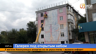 Весёлые дома — до конца лета художники украсят здания и набережные Красноярска