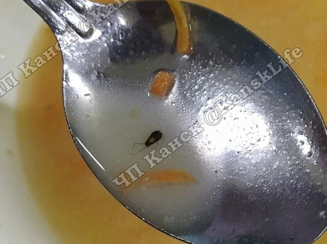 Суп с тараканом подали ученику в школьной столовой Канска. Фото: ЧП Канск