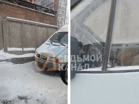 Красноярец запер свою собаку в «ГАЗели» на четыре дня