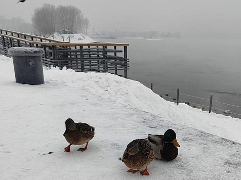 В Красноярск идет потепление