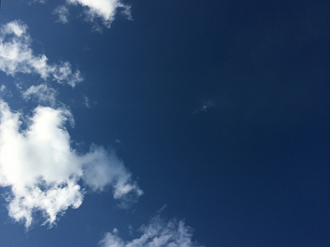 В Красноярске потеплеет до +28 градусов . Фото: «7 канал Красноярск»