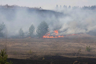 Лесные пожары вызывают сезонный рост токсичного озона над Сибирью