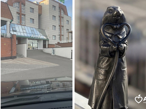 В Красноярске поселился необычный суслик у медцентра. Фото: медцентр «Альмед»