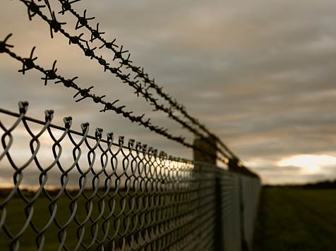 «Мошенник в квадрате»: красноярца перевели с условного срока на реальный за фейковую справку