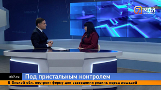 Тайна ночных участков — юрист объяснила, как обеспечивается безопасность бюллетеней 