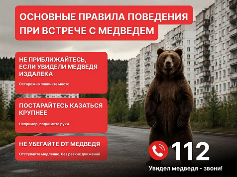 В Красноярске на территории СФУ ищут медведя. Фото: соцсети С. Верещагина