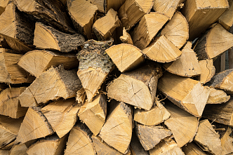 Лесники Красноярского края заготавливают дрова для семей участников СВО