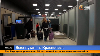 Депутат Госдумы предложил отправлять «дубайских эскортниц» в Красноярский край 