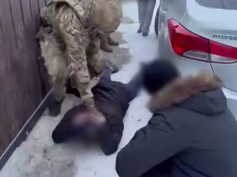 Двое лесничих Шушенского района продали ценной сосны на 600 тысяч рублей и сдали руководителя. Фото, видео: Прокуратура Красноярского края