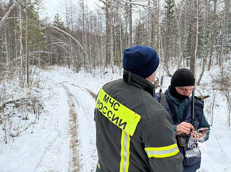 Сигнал с телефона пропавшего Сергея Усольцева удалось поймать в лесах Красноярского края. Фото: МЧС Красноярского края