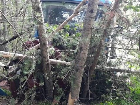 «Жигули» бесправника с тремя пассажирами смяло фурой на востоке от Красноярска. Фото: МВД 24