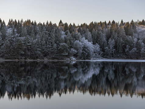 На карте Красноярского края появился новый уникальный объект — озеро Бугар. Фото: Freepik; Яндекс Карты