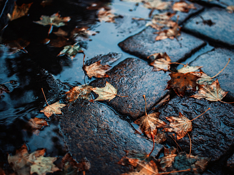 В Красноярске 13 сентября в среду днём ожидается +15°C. Фото: ru.freepik.com