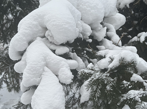 В Красноярск идет потепление