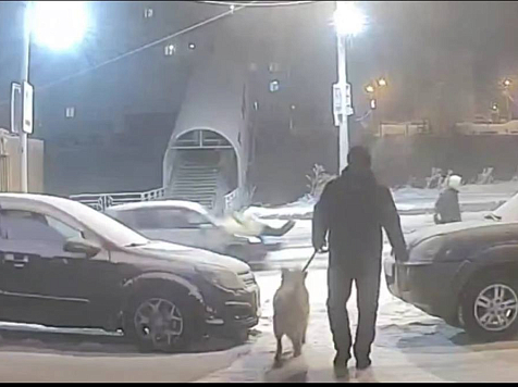 В красноярском Солнечном на «зебре» сбили 14-летнюю школьницу. Фото: 24_ Госавтоинспекция