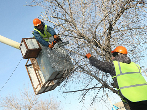 В Красноярске из обрезанных веток делают удобрение. Фото: <a href="http://yandex.ru/clck/jsredir?from=yandex.ru%3Bimages%2Fsearch%3Bimages%3B%3B&text=&etext=9185.D3WeeNZp6s2TTdeMmOo8dHen404uU9waQaM658KtUwBFnyh7FGSVotu_i8H6oZNvHeqsnHpDTJwmt5JwqXYY_r3MRknX0VKl_-Ko_m2YcII.cd51bcd1b511c16d0cac268be938cd99cd0e6f17&uuid=&state=iric5OQ0sS1mPitaa3mxJE61AVKS1Y9siPMmVFsWPIWEtrEgMmapww,,&data=eEwyM2lDYU9Gd1VROE1ZMXhZYkJTZEZfcHV2ZmpXUnNHT1czVnluSE45N3RnVno3aFdtTlBHSGVPT19UbjJYOC1JMVI0eG5CR2J6V0d4a2N2d3BYYkotNExERldqOVVybkk2RWw3b2pFQk1oRk8tc2RTZWRjQTEtczNBeUFwWnk,&sign=1271076fa0a89d44eb4f84d99c432f03&keyno=IMGS_0&b64e=2&l10n=ru" target="_blank">24spil.ru</a>