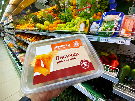 Собранные в Красноярском крае лисички теперь можно купить в торговых сетях региона. Фото: правительство края