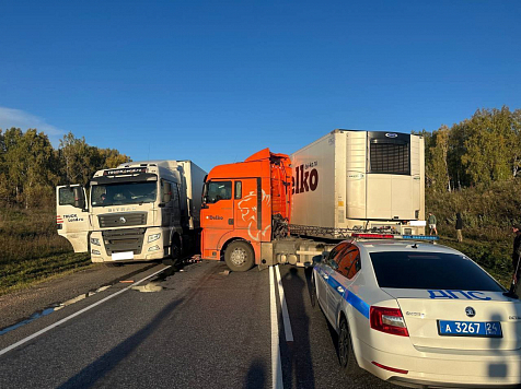 В Красноярском крае погиб мужчина за рулем грузовика в ДТП на трассе. Фото: МВД 24